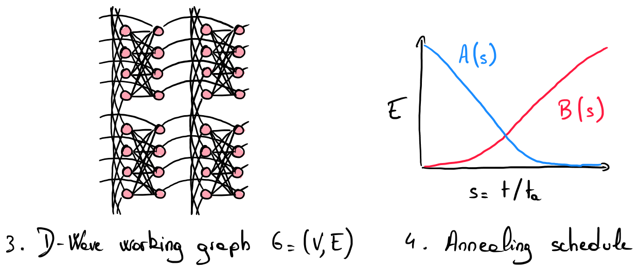 D-Wave QPU working graph and annealing schedule
